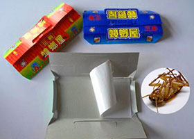 蟑螂屋，正邦助你滅蟑除害！